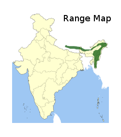 range map